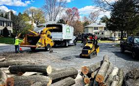 Best Pest Control for Lawns  in Chamblee, GA