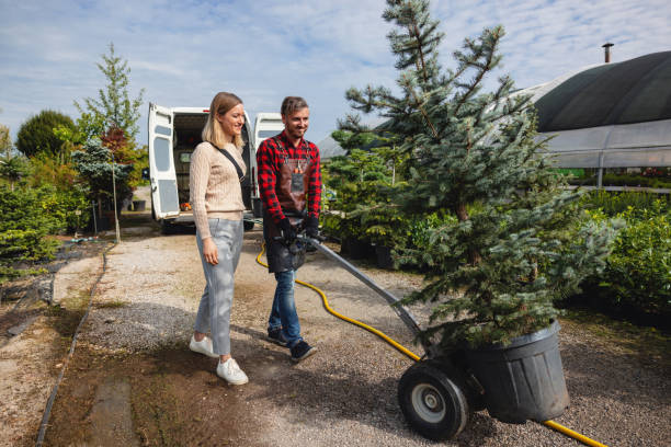 How Our Tree Care Process Works  in  Chamblee, GA